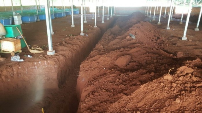 31f79ef534a5483c270ea11994db2f69.jpg